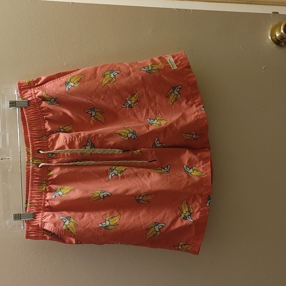 Public Access shorts